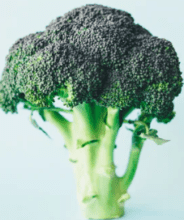 Orgain Protein Powder Ingredients - head of broccoli