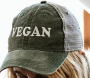 Is Plant Based Protein Powder Good For You - Vegan baseball cap