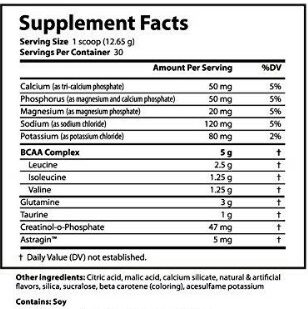 What Is a Intra Workout - bcaa supplemental facts