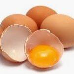 What is the best post workout supplement - egg shells