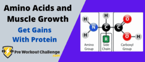 Amino Acids and Muscle Growth – Get Gains With Protein