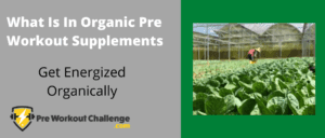 What Is In Organic Pre Workout Supplements – Get Energized Organically