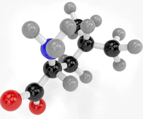 Branch Chain Amino Acids Benefits - Amino acid leucine 3D molecule