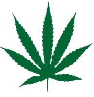 What Is The Best Hemp Protein Powder - Marijuana leaf