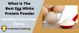 What Is The Best Egg White Protein Powder – Excellent Dairy-Free Option