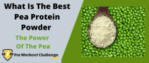 What Is The Best Pea Protein Powder – The Power Of The Pea