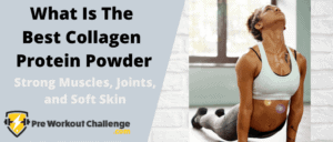 What Is The Best Collagen Protein Powder – Muscles, Joints, Soft Skin