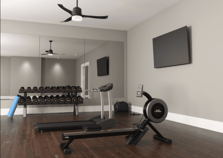 Home Gym Design Ideas - Exercise room design
