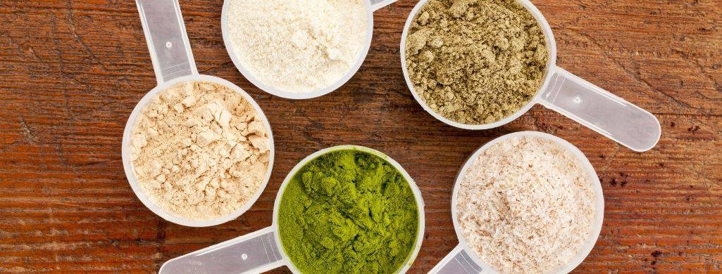 How much protein do I need?Best Protein Powder