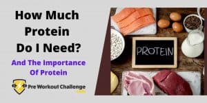 How Much Protein Do I Need? – And The Importance of Protein