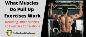 What Muscles Do Pull Up Exercises Work – Including Squats, Pushups, Deadlifts